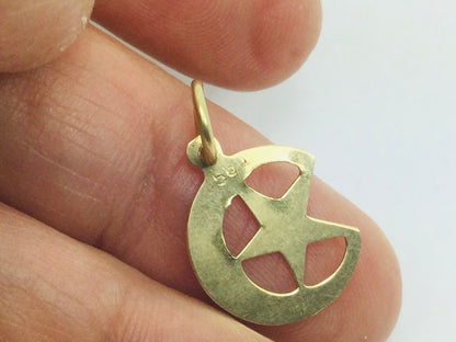 14k Yellow Gold Moon & Star Pendent